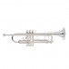 Yamaha YTR8335G Xeno Trumpet, Silver