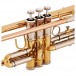 Coppergate Intermediate Bb Trumpet by Gear4music