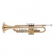 Coppergate Intermediate Bb Trumpet by Gear4music