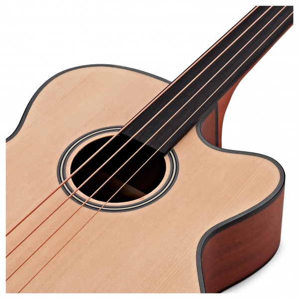 Electro Acoustic Fretless Bass Guitar + 35W Amp Pack