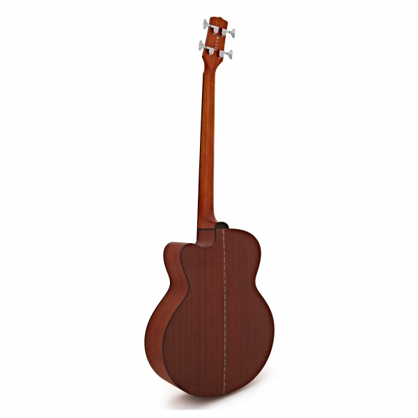 Electro Acoustic Fretless Bass Guitar + 35W Amp Pack