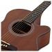 Deluxe Single Cutaway Electro Acoustic Guitar + 15W Amp Pack, Sapele