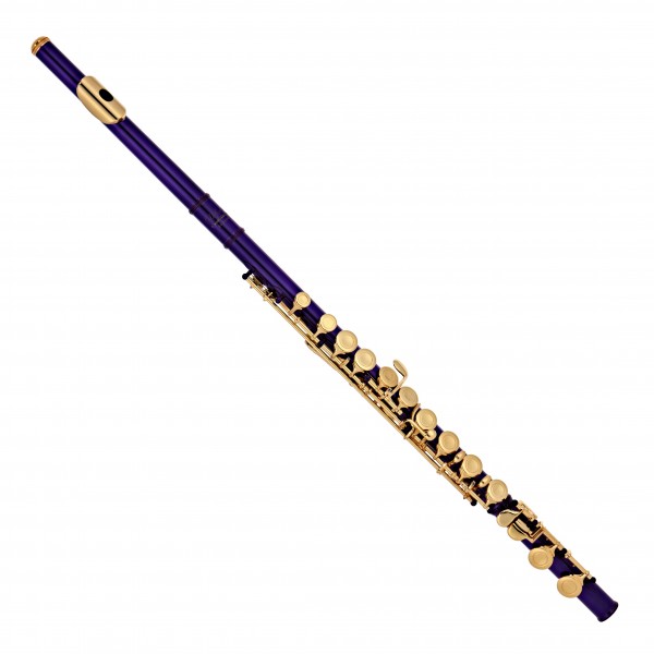 Elkhart 100FLE Student Flute, Purple with Gold Lacquer Keywork