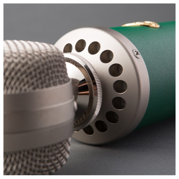 Blue Kiwi Cardioid Condenser Microphone - Mic Close Up