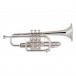 Bach Stradivarius Cornet, 181ML, Silver Plate