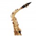 Odyssey OAS130 Debut Alto Saxophone Outfit