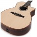 Taylor 714ce-N Nylon Electro Acoustic