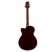 PRS SE Angelus, Tobacco Sunburst - Back