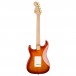 Squier 40th Anniversary Stratocaster Gold Edition, Sienna Sunburst back