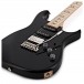 PRS Fiore, Black Iris #0334654