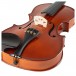 Kreutzer School Violin - Body