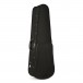 Kreutzer Violin Case