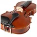 F. Muller Virtuoso Violin - Body