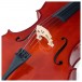 Kreutzer School I EB Cello - Close-up