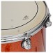 Premier Genista 24” 3pc Birch Shell Pack, Orange Sparkle