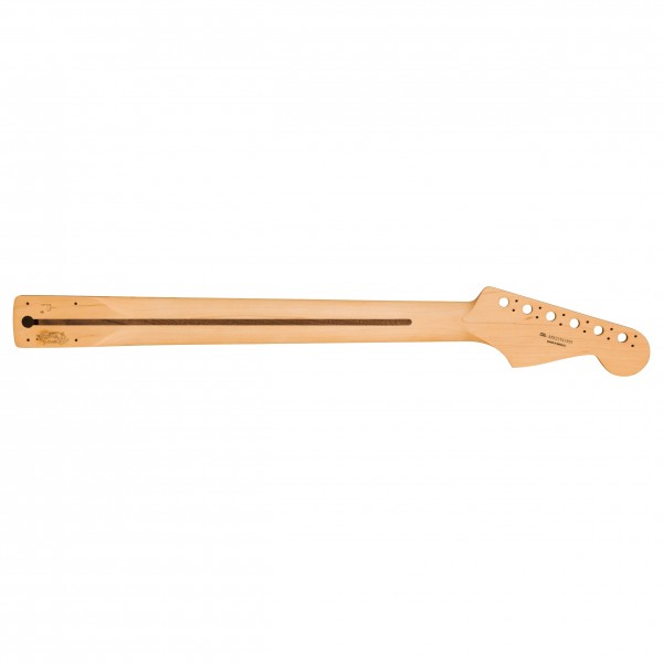 Left hand Strat Back 