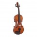 Primavera Loreato Violin Outfit, Full Size, Side