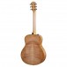 Taylor GT611e LTD