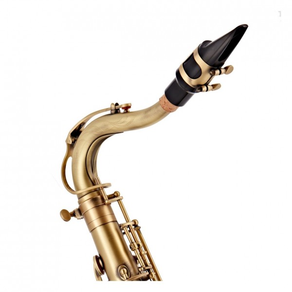 Buffet 400 Series - Crook and Mouthpiece