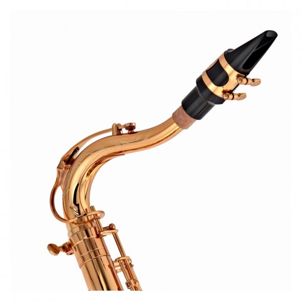 Buffet 400 Series - Crook and Mouthpiece