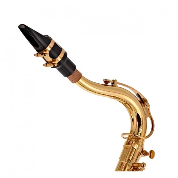 Buffet 100 Series - Crook and Mouthpiece