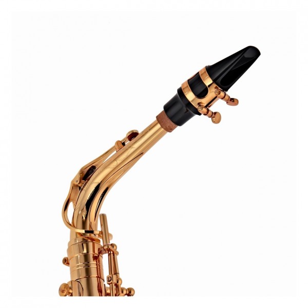 Buffet 400 Series Alto - Crook and Mouthpiece