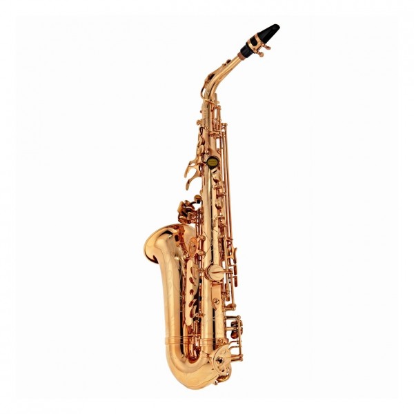 Buffet 400 Series Alto - Back View