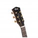 Cort Gold A6 Bocote, Natural - headstock