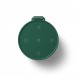 Bang & Olufsen Beosound Explore, Green Top