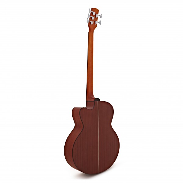 Electro Acoustic 5-String Bass Guitar + 35W Amp Pack