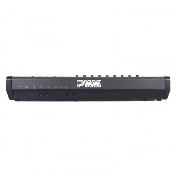 PWM Malevolent 49-Note Synthesizer - Rear