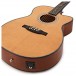 PRS SE AE50E Angelus Electro Acoustic, Black Gold