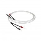 Chord ClearwayX Speaker Cable