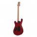 PRS Fiore, Amaryllis #0337829