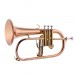 Bach FH501 Student Flugel Horn Outfit