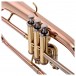 Bach FH501 Student Flugel Horn Outfit