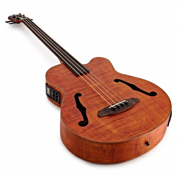 Aria FEB-F2M/FL Medium Scale Fretless Bass, Stained Brown