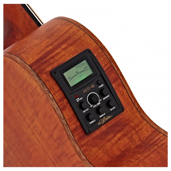 Aria FEB-F2M/FL Medium Scale Fretless Bass, Stained Brown