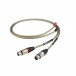 Chord Epic 2XLR to 2RCA Cable, 1m