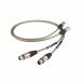 Chord Epic 2XLR to 2XLR 2m