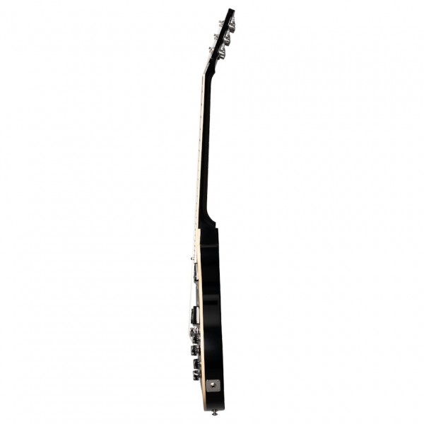 Gibson Adam Jones Les Paul Standard, Antique Silverburst side