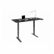 BDI Stance 6652 Standing Desk 66 x 30