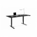 BDI Stance 6652 Standing Desk 66 x 30