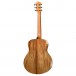 Taylor GS Mini Koa LTD back