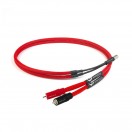 Chord ShawlineX 2RCA to 1XLR Cable, 1m (NAP250)