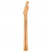 Fender Player Telecaster Reverse Headstock Maple Neck, Modern 