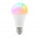 Smart RGB Bulb - Bulb Only