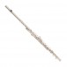 Odyssey OFL100 Debut Flute