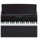 Kawai KDP120 Digital Piano, Premium Rosewood