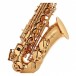 Odyssey OAS130 Debut Alto Saxophone